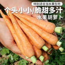 密农人家新鲜水果胡萝卜 脆甜爽口 小胡萝卜 适合生吃胡萝卜新鲜蔬菜 500g