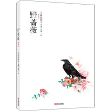 书籍图片
