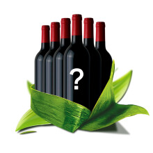 西班牙原瓶原装进口经典+添普兰尼洛红葡萄酒