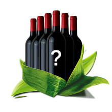 西班牙原瓶原装进口经典+添普兰尼洛红葡萄酒