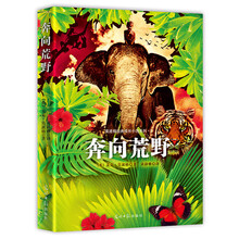 书籍图片