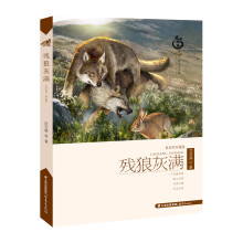 书籍图片