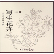 书籍图片