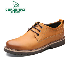 卡丹路(cardanro)