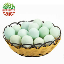 辽源优品金翼蛋品全链条开展激活工业新动能