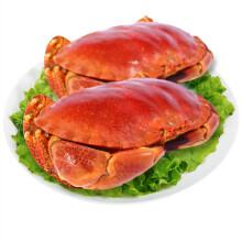 面包蟹\/黄金蟹蟹类 海鲜水产 生鲜