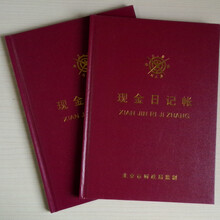 帐本19*26.2cm 16K借贷式现金账本110手写账