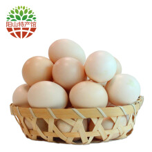 农家新鲜土鸡蛋 30枚 约1.25kg 广东清远阳山特产