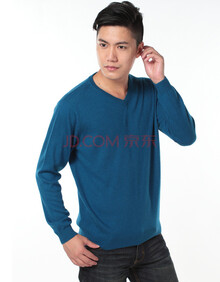 芮菡 男士 羊绒衫 <em>男式V领</em>平面纯色<em>加厚</em>针织毛