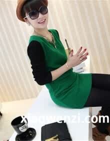 2013<em>秋款</em> 淑女呢料打底裙 韩版圆领长袖女款连