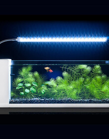 鱼缸水族箱中小型超白高清玻璃缸创意金鱼缸内