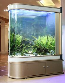 卡亚鱼缸生态水族箱鞋柜屏风欧式超白玻璃热带