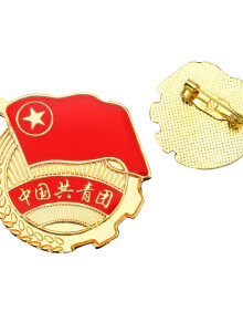 信发(trnfa)安全别针款 党徽团徽章/中国共青团胸章 (50个装)金属【中