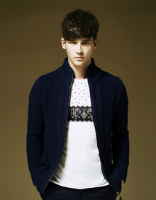 theone2014秋冬新款欧美简约<em>立领毛衣男</em>长袖