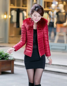 林羽森 <em>2014冬季新款</em> 棉衣女款短款 <em>女装外套</em> 