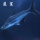 蓝鲨18-20cm1条