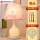 白玉菊+萌猪罩送LED暖光灯泡
