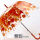 长柄阿波罗拱形树叶透明伞橙色