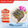 泰国白虾/女王虾（巨型款）1.8kg