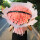 99朵粉玫瑰花束——温馨浪漫款