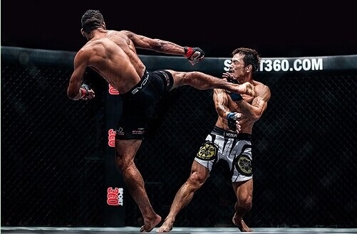 的综合格斗(mma)|mma综合格斗