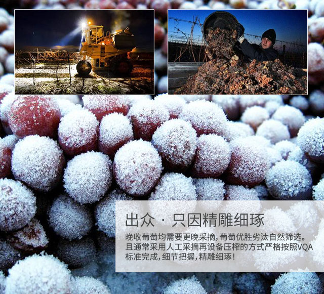 加拿大原瓶进口 辉煌Gloria冰酒庄园VQA晚收红