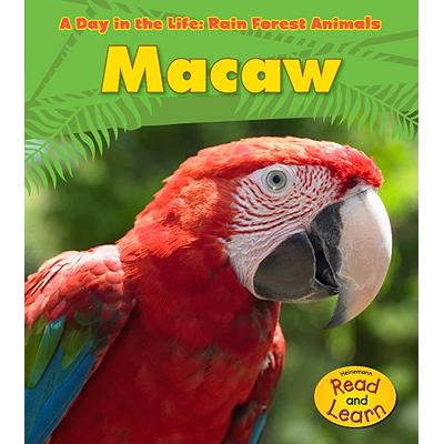 macaw