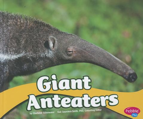 【预订】giant anteaters