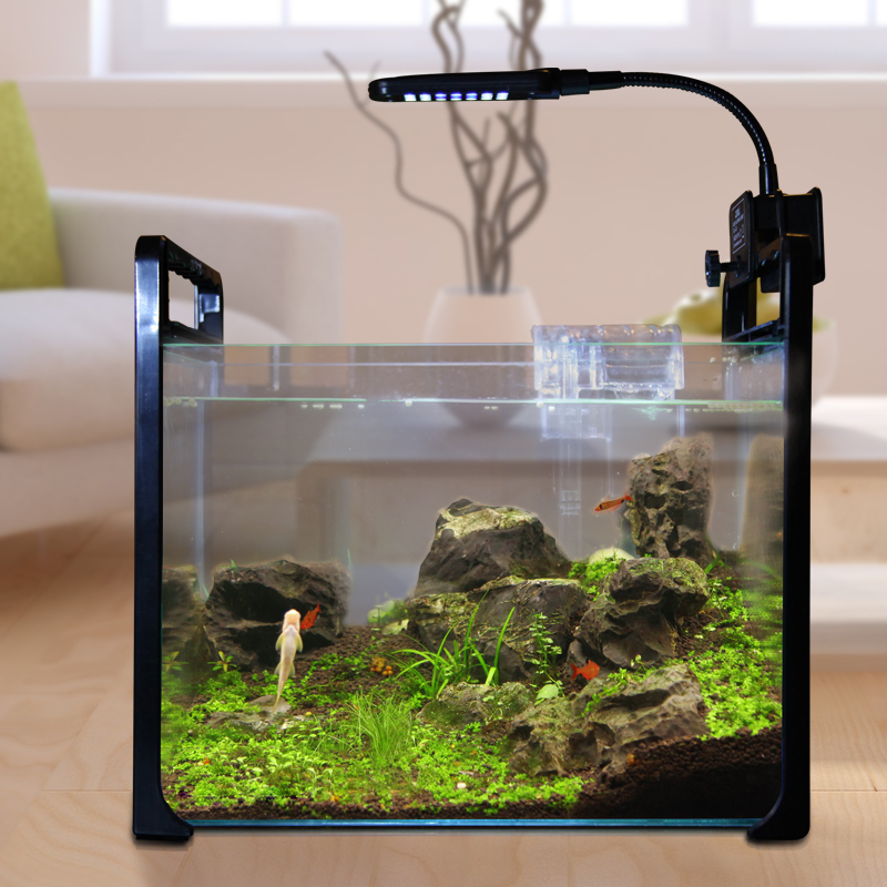 鱼缸水族箱 中型生态金鱼缸高清玻璃小型热带鱼创意