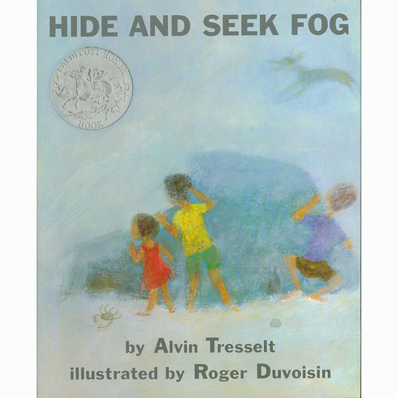 美国进口 凯迪克奖作品 hide and seek fog 雾里捉迷藏【平装】