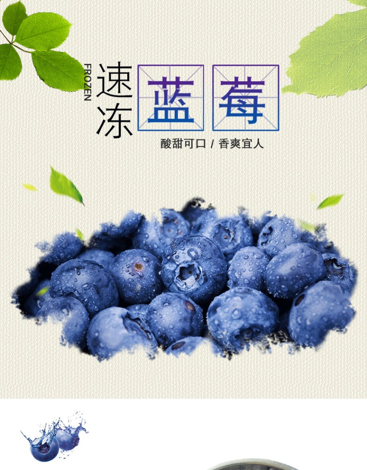 湘贞缘农庄顺丰发货新鲜速冻蓝莓鲜果速冻蓝莓浆果冷冻新鲜蓝莓可做