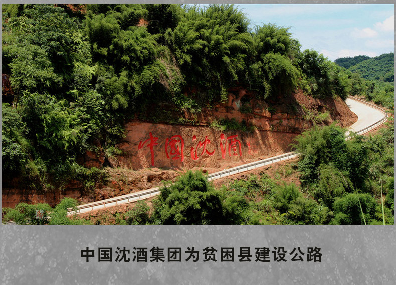 超市白酒沈酒赖公印象52度泸州浓香型高档老