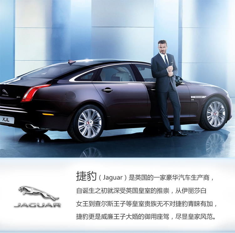 英国jaguar 捷豹 酷型时尚偏光镜轻盈金属镜框男款太阳镜 39708 4200