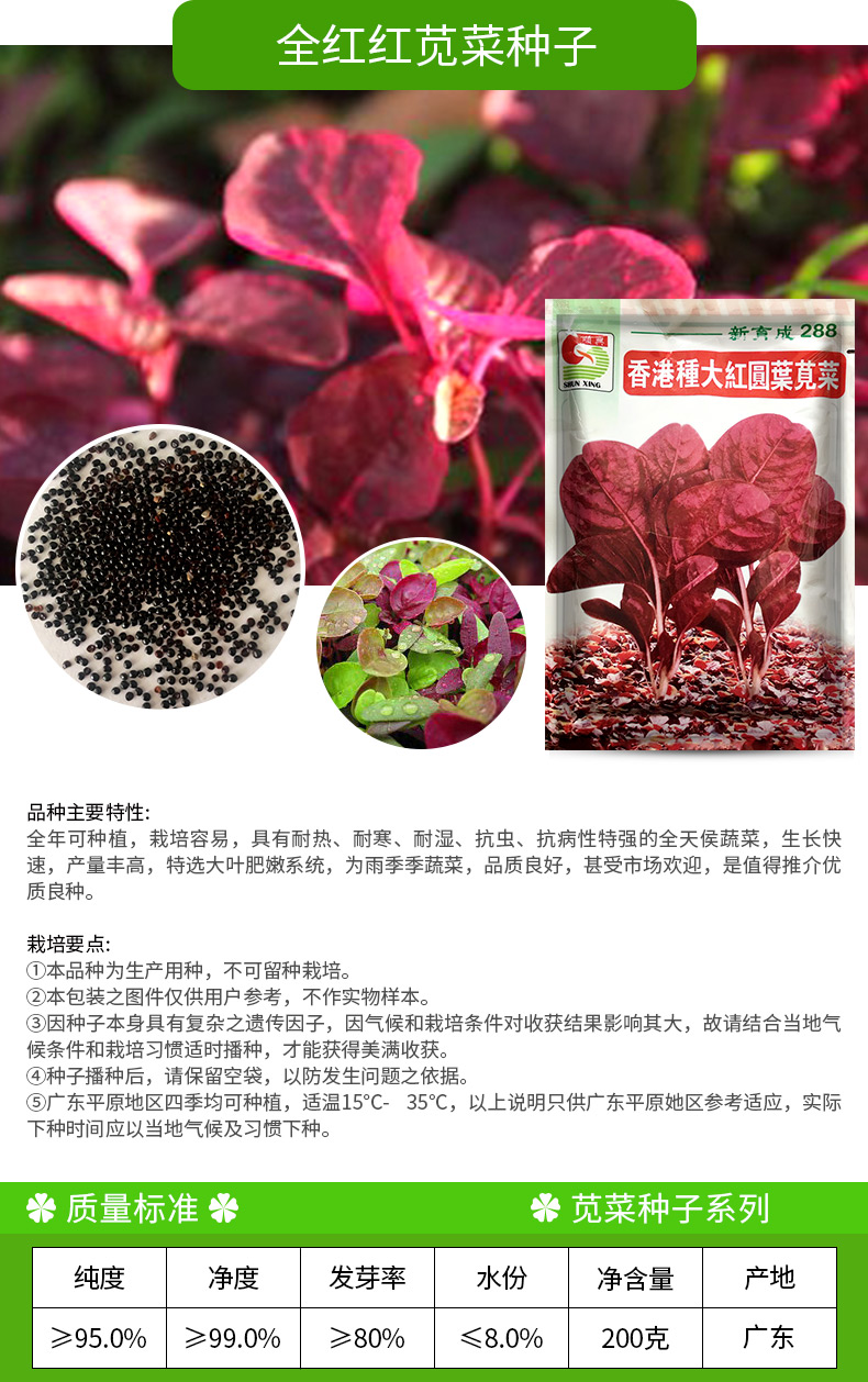凤鸣雅世蔬菜种子红苋菜种子汉菜籽蔬菜野生菜农家菜四季菜苋野菜春