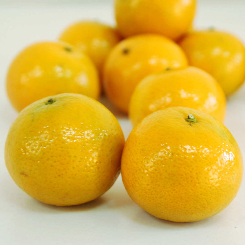 柑类水果有哪些_三个字的柑类水果_柑橘类水果哪些会上火