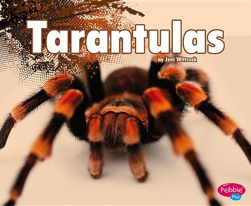【预订】tarantulas