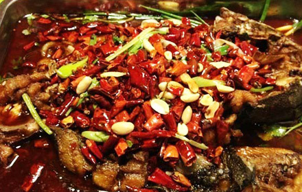 上海123鸡公煲团购,上海123鸡公煲打折优惠,上