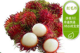 长沙京东团购团购,【预售-越南红毛丹】越南红