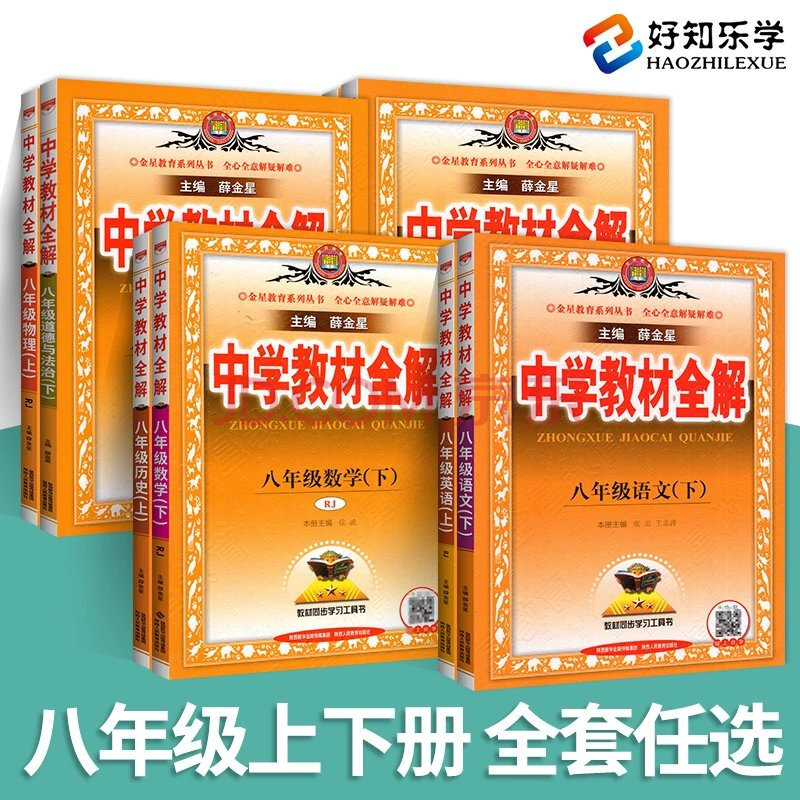 薛金星中学教材全解八年级上册下册语文数学英语物理政治历史生物地理人教北师版初中八年级上下册教材全解初二教材同步解读22 人教版 数学八年级下 摘要书评试读 京东图书
