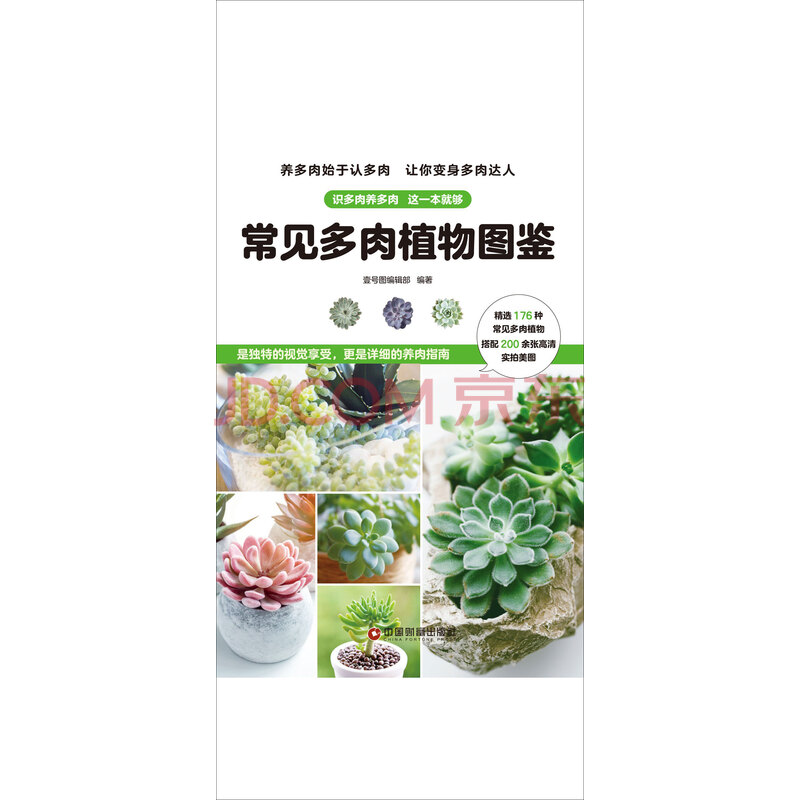 常见多肉植物图鉴 壹号图编辑部 电子书下载 在线阅读 内容简介 评论 京东电子书频道