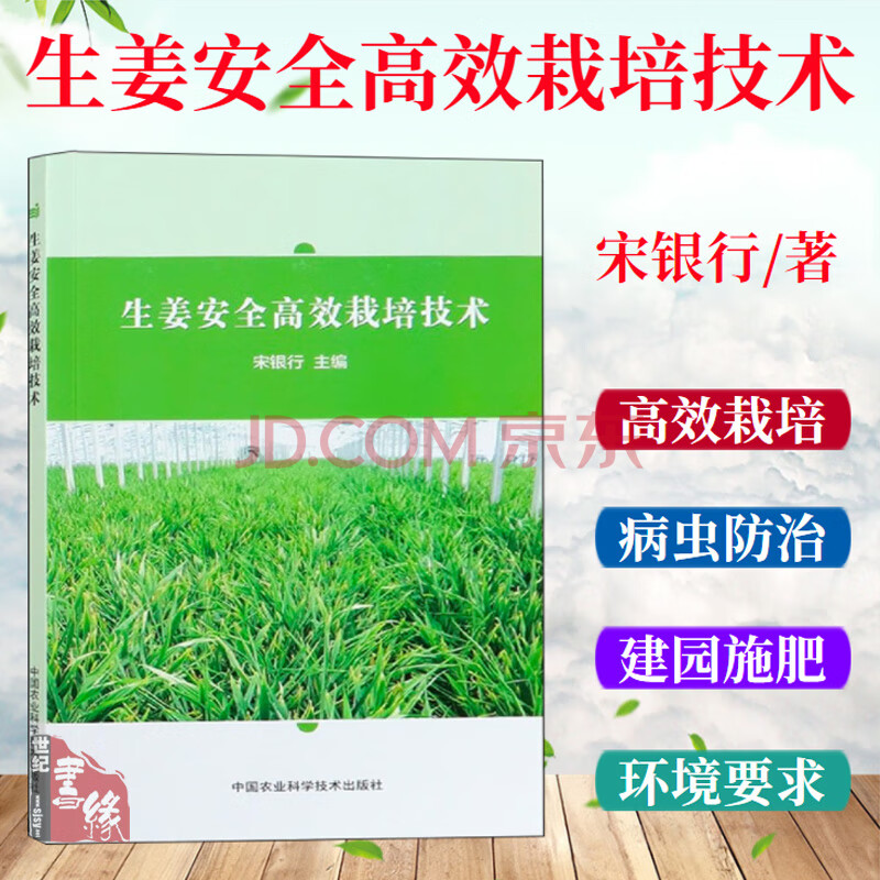 生姜安全高效栽培技术宋银行生姜种植技术生姜栽培技术书生姜高效高产栽培技术生姜病虫害防治书籍 摘要书评试读 京东图书
