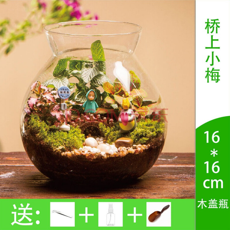 元井微观苔藓绿植物玻璃微景观组合盆栽生态瓶diy材料包盆景套装桥上小梅 16cm 图片价格品牌报价 京东 元井微观苔藓绿植物玻璃微景观组合盆栽生态瓶diy材料包盆景套装桥上小梅 16cm 图片价格品牌报价 京东