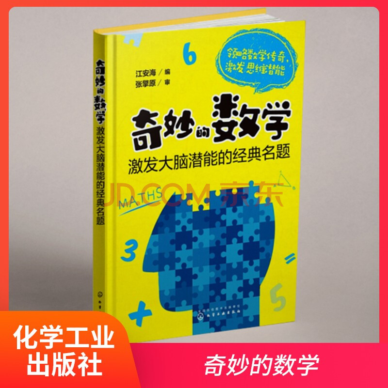 化学工业 奇妙的数学 激发大脑潜能的经典名题 摘要书评试读 京东图书