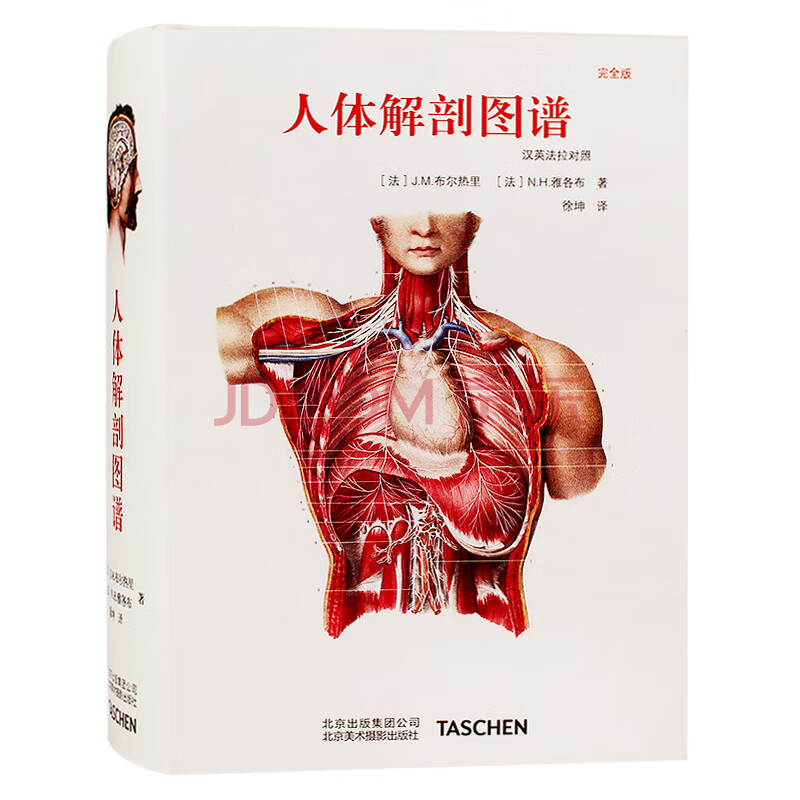 原版引进中文版taschen 人体解剖图谱真人比例人体手绘图集 摘要书评试读 京东图书