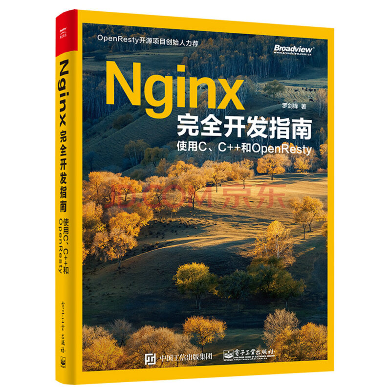 Nginx完全开发指南 使用c C 和openresty 罗剑锋 摘要书评试读 京东图书