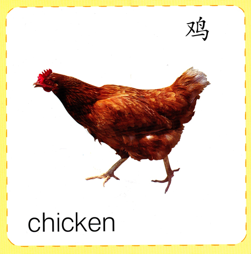 淘气宝贝启蒙大卡动物13岁儿童认知卡