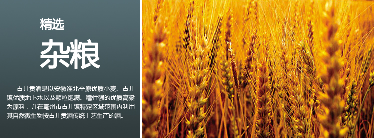 老酒精品银古井2006年45度450ml