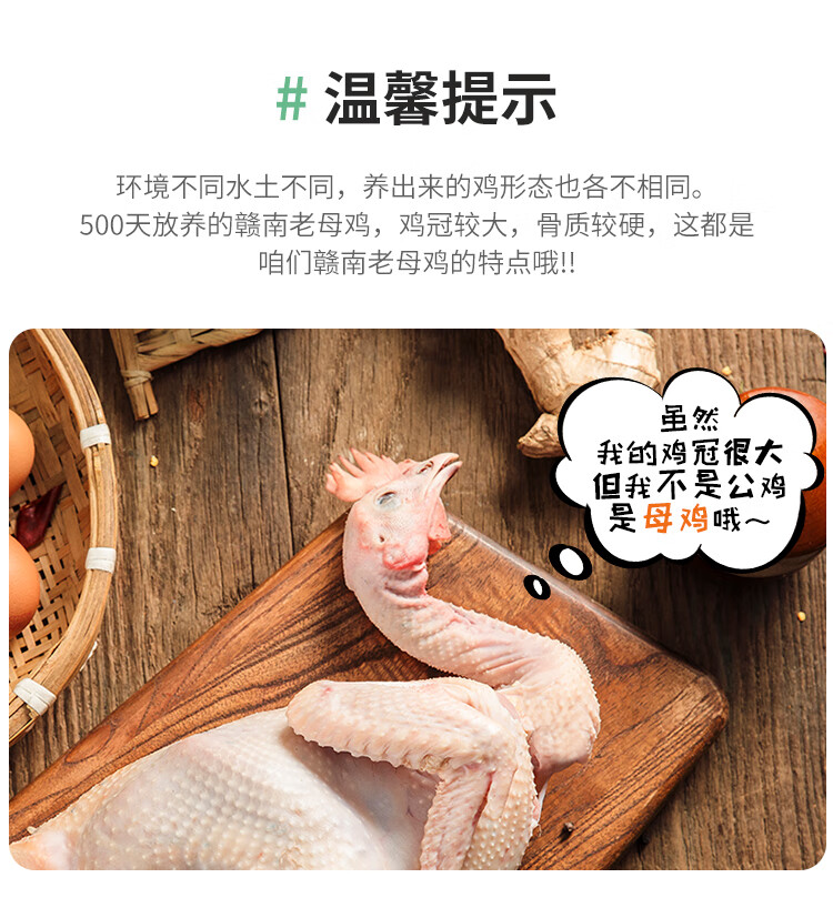 华英华英500天老母鸡