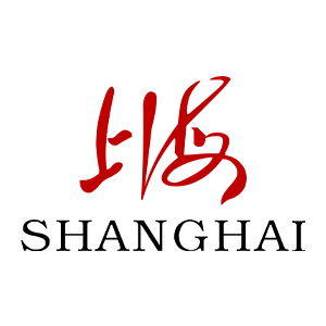 上海(shanghai)手表 休闲复古系列单历自动机械女表 x627-5-l