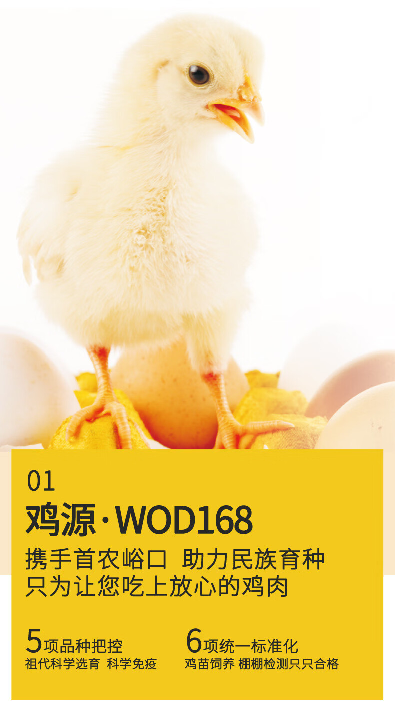 乡盛 德州扒鸡 450g*3只 图3